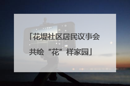 花堤社区居民议事会共绘“花”样家园