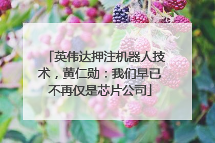 英伟达押注机器人技术，黄仁勋：我们早已不再仅是芯片公司