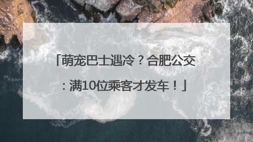 萌宠巴士遇冷？合肥公交：满10位乘客才发车！