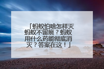 蚂蚁怕啥怎样灭蚂蚁不留痕？蚂蚁用什么药能彻底消灭？答案在这！