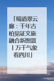 蜀道翠云廊：千年古柏见证文旅融合新图景丨万千气象看四川