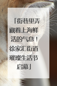 街巷里弄藏着上海鲜活的气息！徐家汇街道璀璨生活节启幕