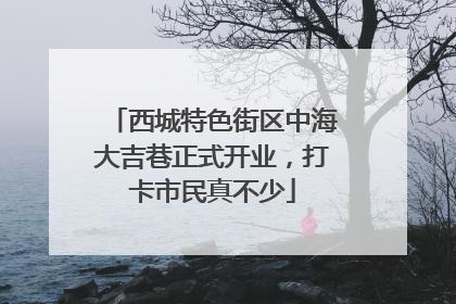 西城特色街区中海大吉巷正式开业，打卡市民真不少