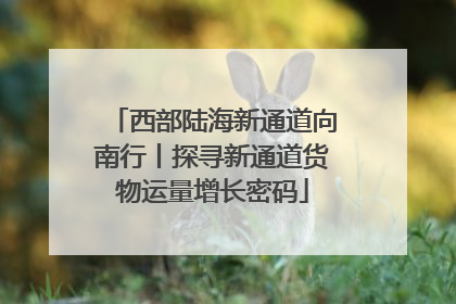 西部陆海新通道向南行丨探寻新通道货物运量增长密码