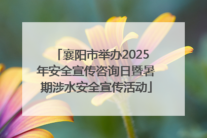 襄阳市举办2025年安全宣传咨询日暨暑期涉水安全宣传活动