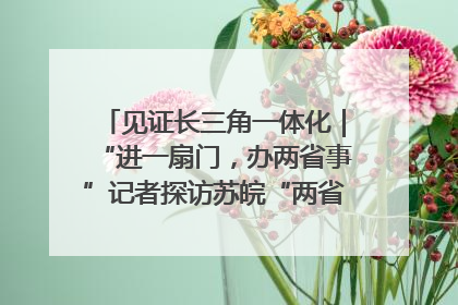 见证长三角一体化｜“进一扇门，办两省事”记者探访苏皖“两省一街”警务室