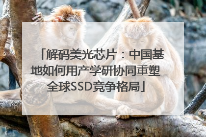 解码美光芯片：中国基地如何用产学研协同重塑全球SSD竞争格局