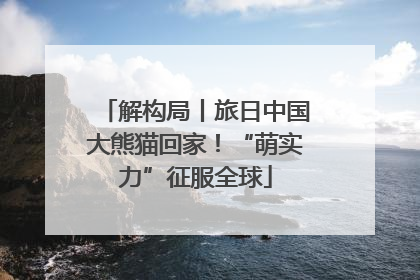 解构局丨旅日中国大熊猫回家！“萌实力”征服全球