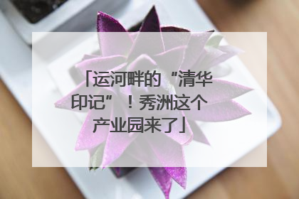 运河畔的“清华印记”！秀洲这个产业园来了