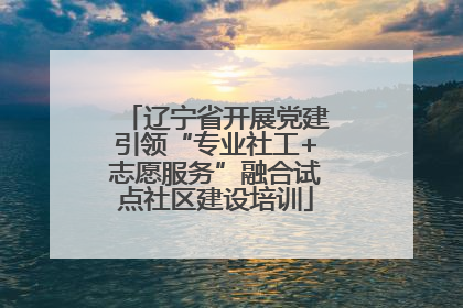 辽宁省开展党建引领“专业社工+志愿服务”融合试点社区建设培训