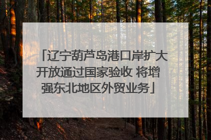 辽宁葫芦岛港口岸扩大开放通过国家验收 将增强东北地区外贸业务