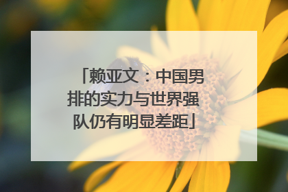 赖亚文：中国男排的实力与世界强队仍有明显差距