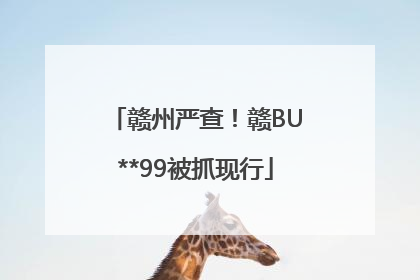赣州严查！赣BU**99被抓现行