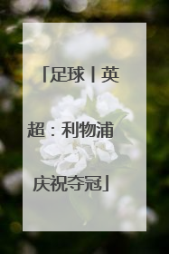 足球丨英超：利物浦庆祝夺冠