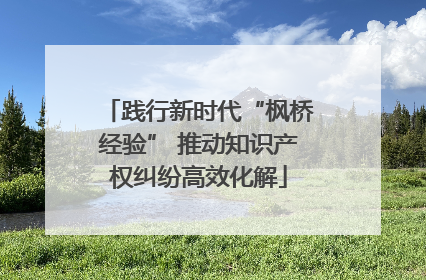 践行新时代“枫桥经验” 推动知识产权纠纷高效化解