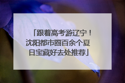 跟着高考游辽宁！沈阳都市圈百余个夏日宝藏好去处推荐