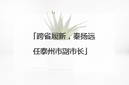 跨省履新，秦扬远任泰州市副市长