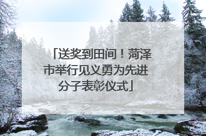 送奖到田间！菏泽市举行见义勇为先进分子表彰仪式