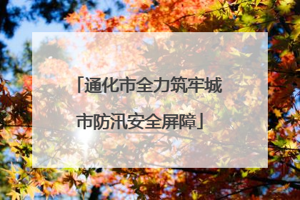 通化市全力筑牢城市防汛安全屏障
