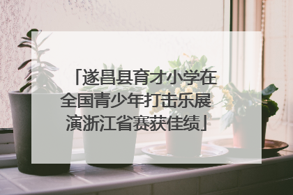 遂昌县育才小学在全国青少年打击乐展演浙江省赛获佳绩
