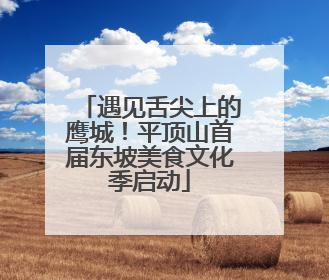 遇见舌尖上的鹰城！平顶山首届东坡美食文化季启动