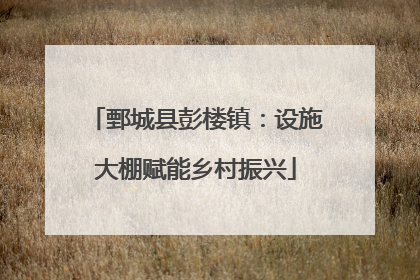 鄄城县彭楼镇：设施大棚赋能乡村振兴