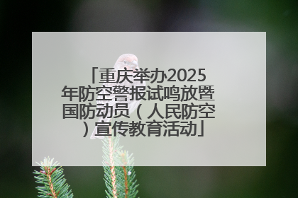 重庆举办2025年防空警报试鸣放暨国防动员（人民防空）宣传教育活动
