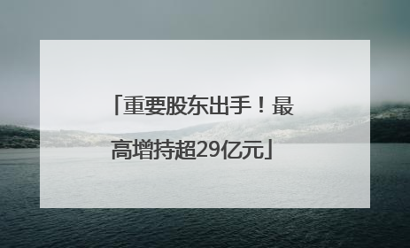 重要股东出手！最高增持超29亿元