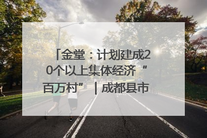 金堂：计划建成20个以上集体经济“百万村”｜成都县市新城高质量发展