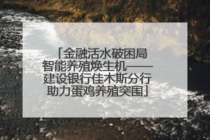金融活水破困局 智能养殖焕生机——建设银行佳木斯分行助力蛋鸡养殖突围