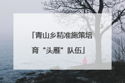 青山乡精准施策培育“头雁”队伍