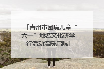 青州市困境儿童“六一”地名文化研学行活动温暖启航