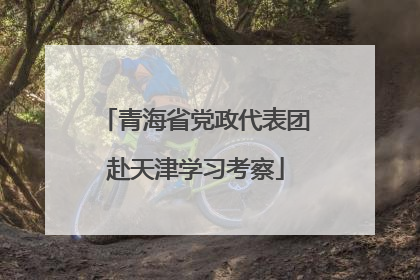 青海省党政代表团赴天津学习考察