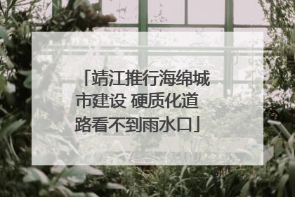 靖江推行海绵城市建设 硬质化道路看不到雨水口