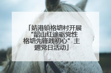 靖港镇格塘村开展“韶山红途砺党性 格塘先锋践初心”主题党日活动