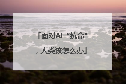 面对AI“抗命”，人类该怎么办