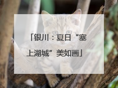 银川：夏日“塞上湖城”美如画