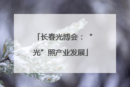 长春光博会：“光”照产业发展