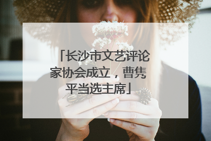 长沙市文艺评论家协会成立，曹隽平当选主席