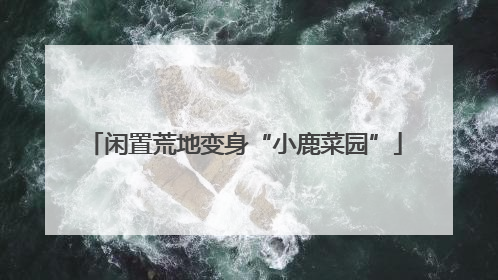 闲置荒地变身“小鹿菜园”