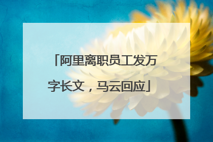 阿里离职员工发万字长文，马云回应