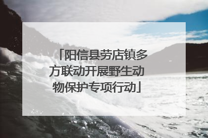 阳信县劳店镇多方联动开展野生动物保护专项行动