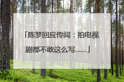 陈梦回应传闻：拍电视剧都不敢这么写……