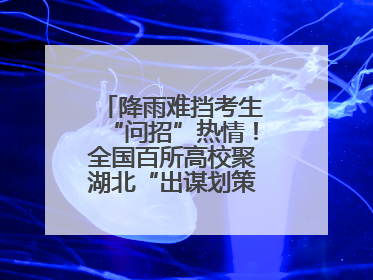 降雨难挡考生“问招”热情！全国百所高校聚湖北“出谋划策”（组图）