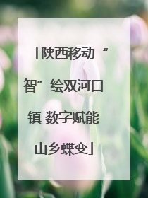 陕西移动“智”绘双河口镇 数字赋能山乡蝶变
