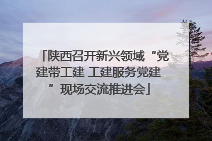 陕西召开新兴领域“党建带工建 工建服务党建”现场交流推进会