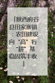 陕西府谷县田家寨镇：农田建设向“高”行 “耕”基稳固筑丰收