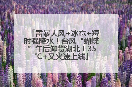 雷暴大风+冰雹+短时强降水！台风“蝴蝶”午后卸货湖北！35℃+又火速上线