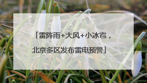 雷阵雨+大风+小冰雹，北京多区发布雷电预警