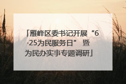 雁峰区委书记开展“6·25为民服务日” 暨为民办实事专题调研
